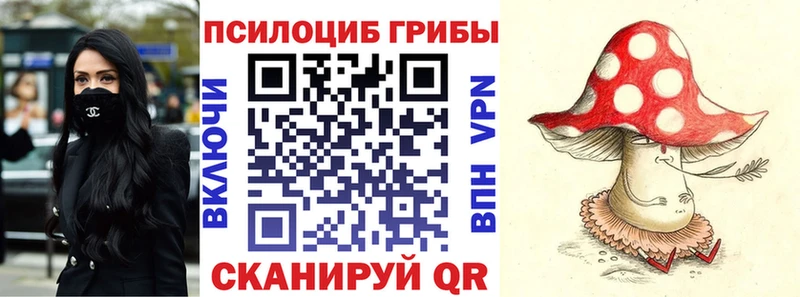 Псилоцибиновые грибы ЛСД  Купить где  Магадан 